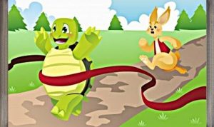 Kura kura dan sang kelinci